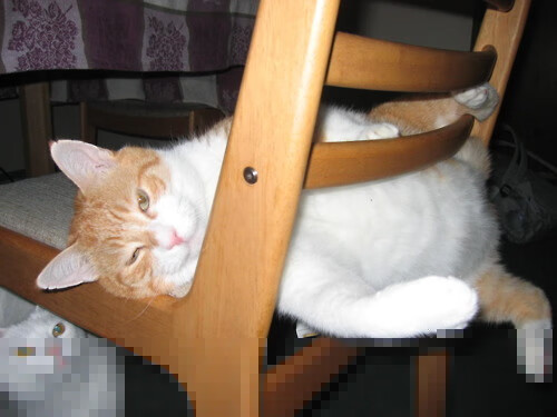 五大联赛是否出现双中场核心互换持球节奏趋势,五大联赛中场休息多久