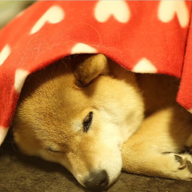 外援政策对俱乐部影响大，外援规则